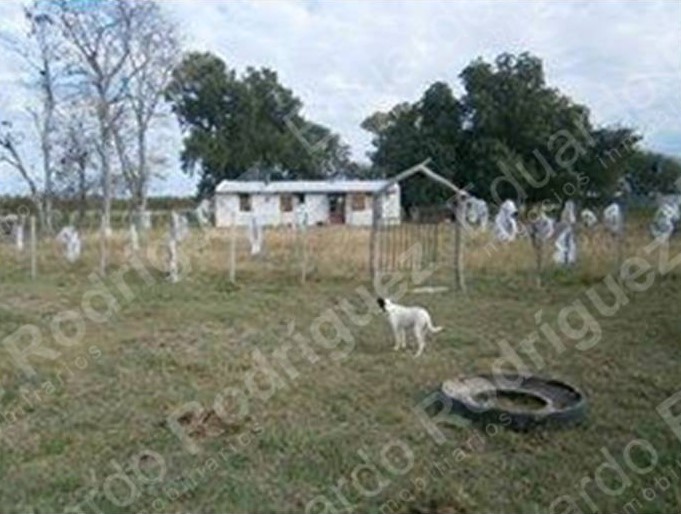 En venta excelente campo – Federal (E.R)