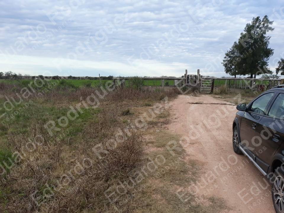 En venta excelente campo – 10has z/Ruta N°6