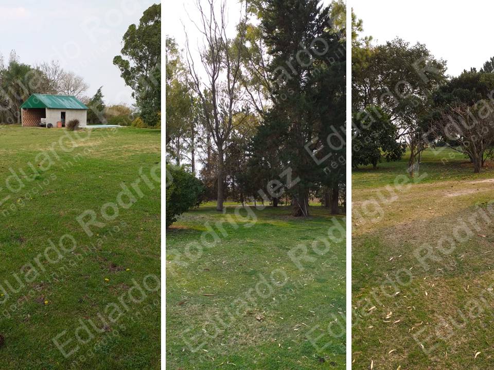 En venta campo z/Ruta Nacional n°18 – Viale